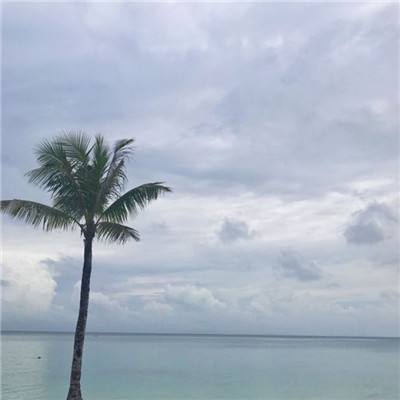 暨少心尖宠：娇妻，开开门